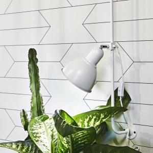 SHOWER - Image 2
